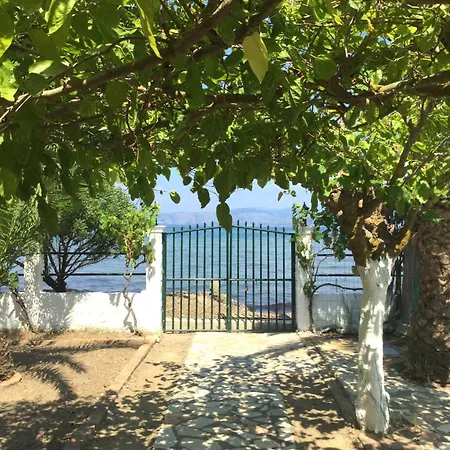Aristidis * Lefkimmi (Corfu)